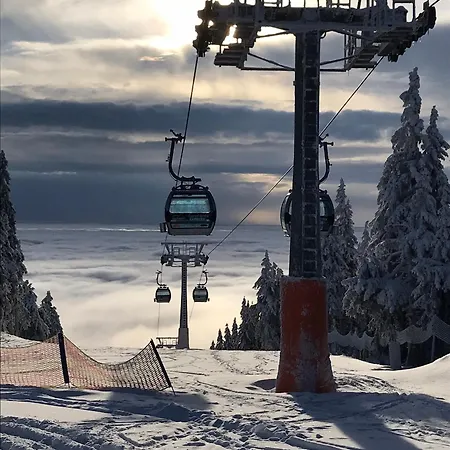 La Victoria Lejlighed Janské Lázně